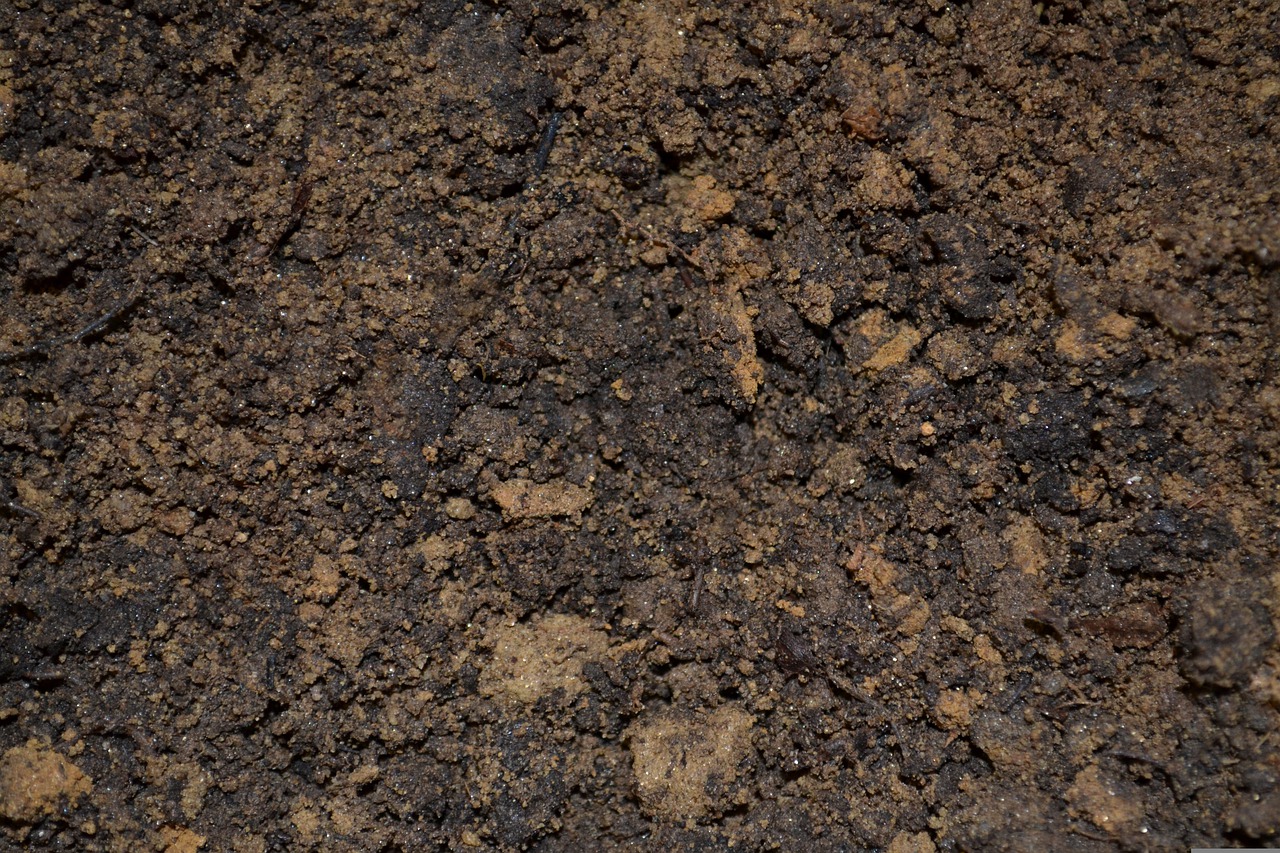dirt, soil, potting-947985.jpg